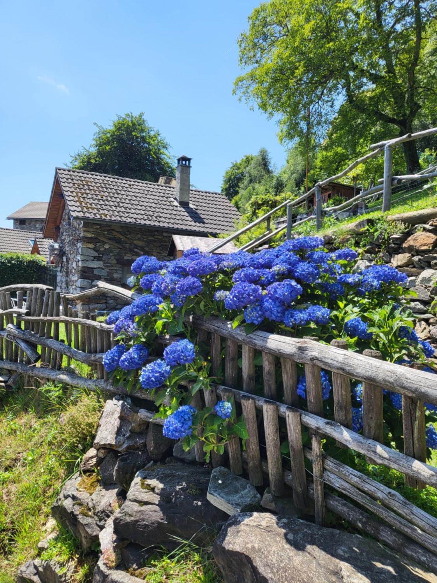 Casa Poiana Villa Ronco sopra Ascona Exterior photo